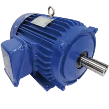 AEEH-AEEP-AEES-Induction-Electric-Motor