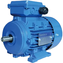 AEEH-ALB3-Induction-Electric-Motor