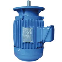 AEVH-AEVP-AEVS-Induction-Electric-Motor
