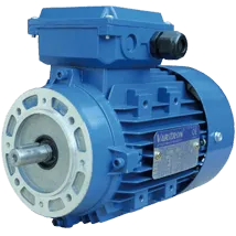 AEVH-ALB14-Induction-Electric-Motor