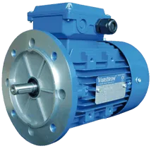 AEVH-ALB5-Induction-Electric-Motor