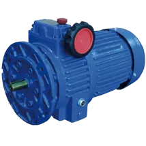 AVM-Disco-Speed-Variator