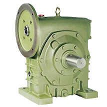 HMW-Worm-Gear-Reducer