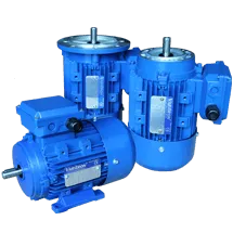 AC induction motor,electric motor,squirrel cage,3 phase motor, synchronous, teco,tatung,abb 