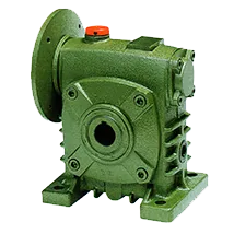 HOM-Worm-Gear-Reducer